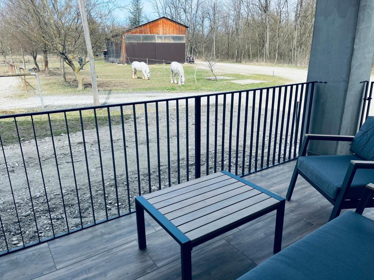 Apartment Country House Zaton Tisina Bagian luar foto