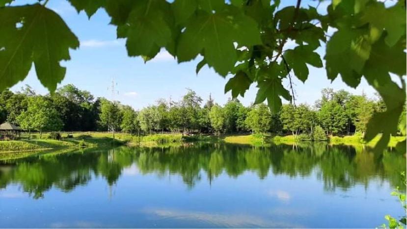 Apartment Country House Zaton Tisina Bagian luar foto