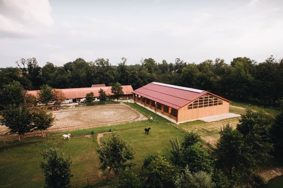 Apartment Country House Zaton Tisina Bagian luar foto